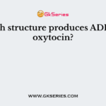 Which structure produces ADH and oxytocin?