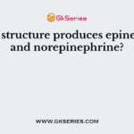 Which structure produces epinephrine and norepinephrine?