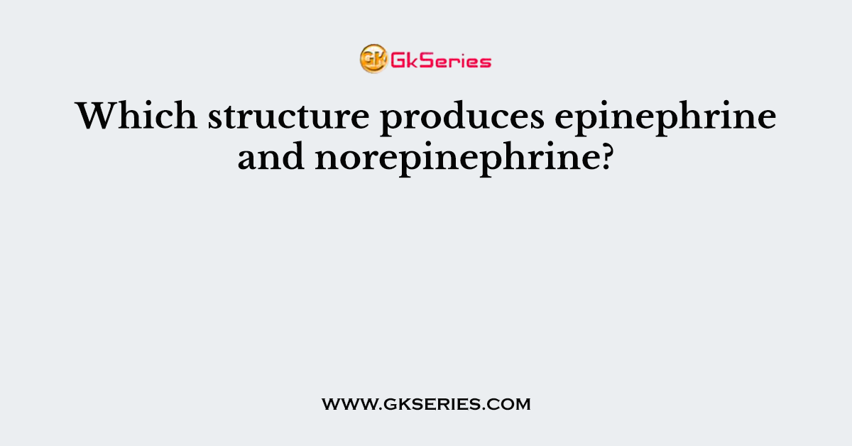 Which structure produces epinephrine and norepinephrine?
