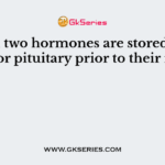 Which two hormones are stored in the posterior pituitary prior to their release?
