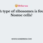 Which type of ribosomes is found in Nostoc cells?