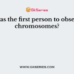 Who was the first person to observe the chromosomes?