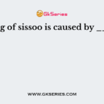 Wilting of sissoo is caused by ______