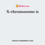X-chromosome is