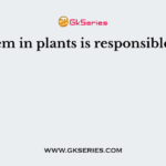 Xylem in plants is responsible for