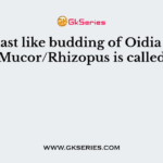Yeast like budding of Oidia in Mucor/Rhizopus is called