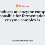 Yeast produces an enzyme complex that is responsible for fermentation. The enzyme complex is
