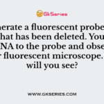 You generate a fluorescent probe against a gene that has been deleted. You expose the DNA to the probe and observe it under fluorescent microscope. What will you see?