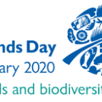 World Wetlands Day: 02 February