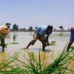 Govt to launch ‘Meri Policy Mere Hath’ under PMFBY to deliver crop insurance policies to farmers at doorstep