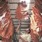 Leather, footwear exports to reach $6 billion in 2022-23: CLE