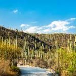 Himachal Pradesh gets 1st Biodiversity Park at Mandi 