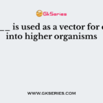_______ is used as a vector for cloning into higher organisms