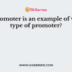 tac promoter is an example of which type of promoter?