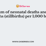 the sum of neonatal deaths and fetal deaths (stillbirths) per 1,000 births