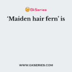 ‘Maiden hair fern’ is