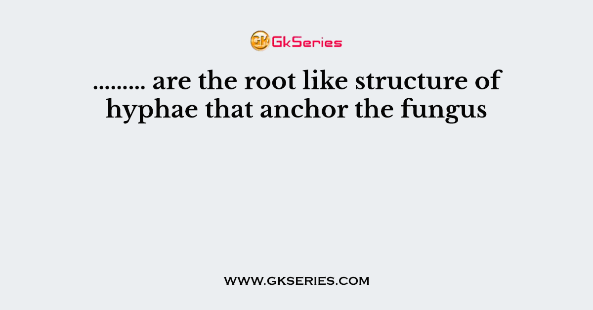 ……… are the root like structure of hyphae that anchor the fungus
