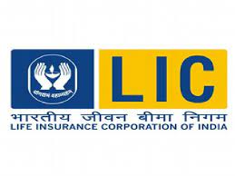 Govt approves 20% FDI in LIC via automatic route