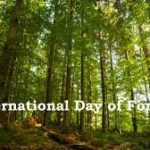 International Day of Forests 2022: 21 March