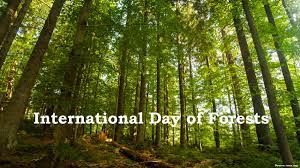 International Day of Forests 2022: 21 March