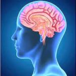 World Head Injury Awareness Day 2022: March 20