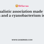 A mutualistic association made up of a fungus and a cyanobacterium is called