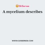 A mycelium describes