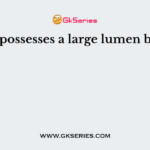 A vein possesses a large lumen because