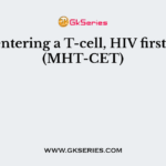 After entering a T-cell, HIV first forms (MHT-CET)