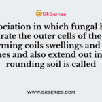 An association in which fungal hyphae penetrate the outer cells of the plant root forming coils swellings and minute branches and also extend out into surrounding soil is called