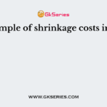 An example of shrinkage costs includes