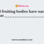 Asexual fruiting bodies have name such as ________________