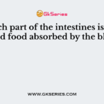 At which part of the intestines is the digested food absorbed by the blood?