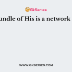 Bundle of His is a network of