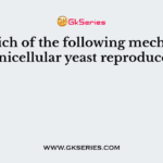 By which of the following mechanism unicellular yeast reproduce?