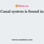 Canal system is found in