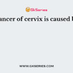 Cancer of cervix is caused by