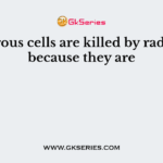 Cancerous cells are killed by radiations because they are