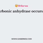Carbonic anhydrase occurs in