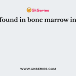 Cells found in bone marrow include