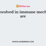 Cells involved in immune mechanism are