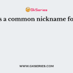 Chip is a common nickname for a (n):