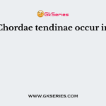 Chordae tendinae occur in