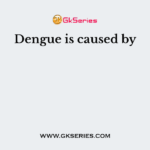 Dengue is caused by