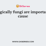 Ecologically fungi are important because