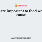 Fungi are important to food webs because