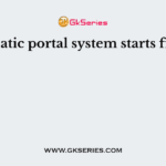 Hepatic portal system starts from