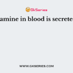 Histamine in blood is secreted by