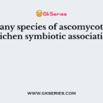 How many species of ascomycota occur in lichen symbiotic association?