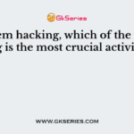 In system hacking, which of the following is the most crucial activity?